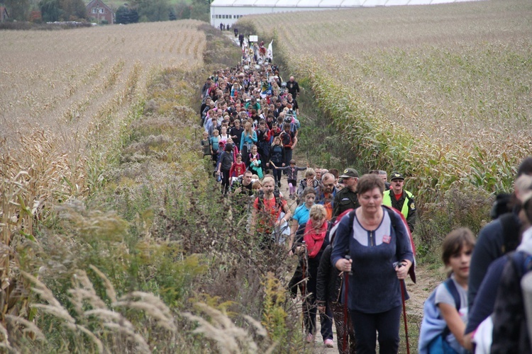 Pielgrzymka trzebnicka 2017 - cz. 10