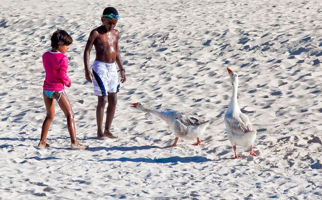 Plaża w Puerto Rico długo nie zobaczy turystów