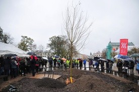 Nowy "Baobab" i kapsuła czasu, którą mieszkańcy Lublina odkopią w 2117 r. (GALERIA ZDJĘĆ)