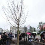 Nowy "Baobab" na placu Litewskim