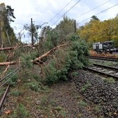 Bez prądu nadal 26 tys. odbiorców