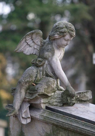 Anioły cmentarne
