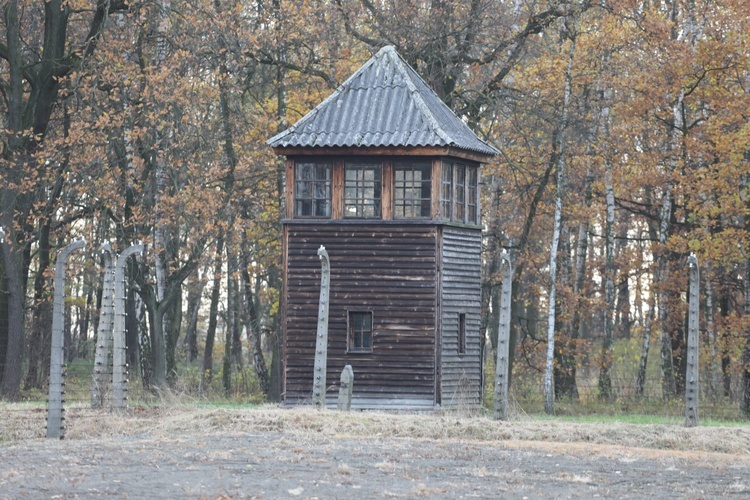 32. Droga Krzyżowa za zmarłych - w byłym KL Auschwitz-Birkenau - 2017