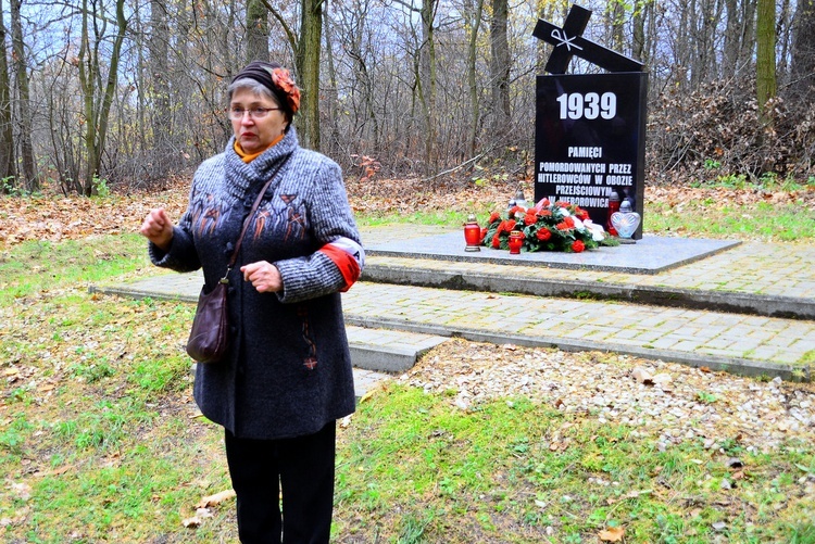 Śląskie Camino w Święto Niepodległości