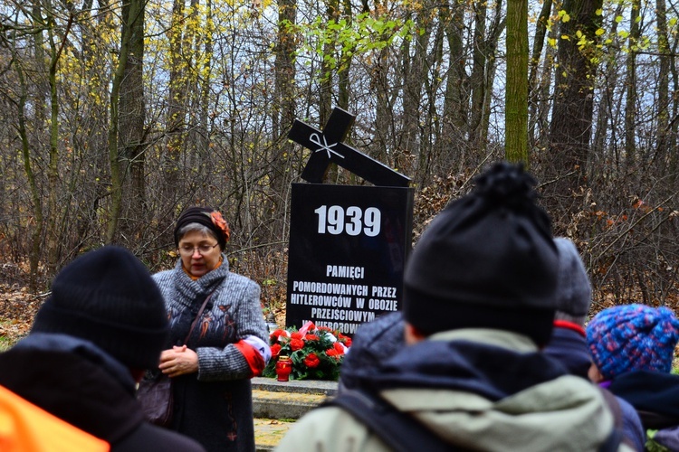 Śląskie Camino w Święto Niepodległości