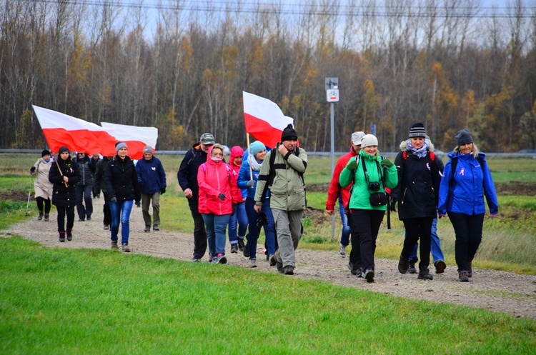 Śląskie Camino w Święto Niepodległości