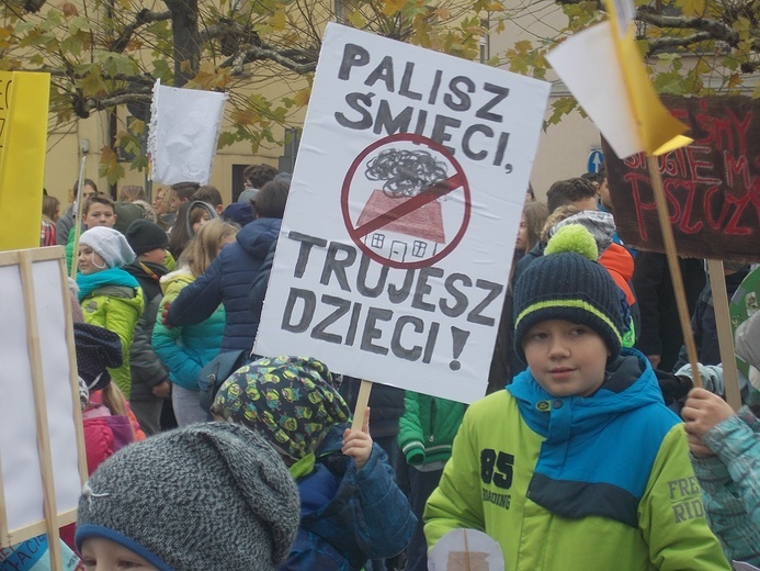 "Dzień Czystego Powietrza" w Pszczynie