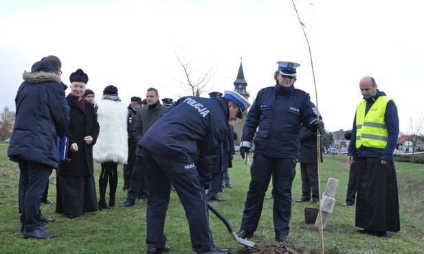 Posadzenie drzewa pamięci