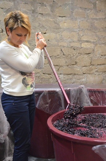 Podsumowanie winiarskiego sezonu