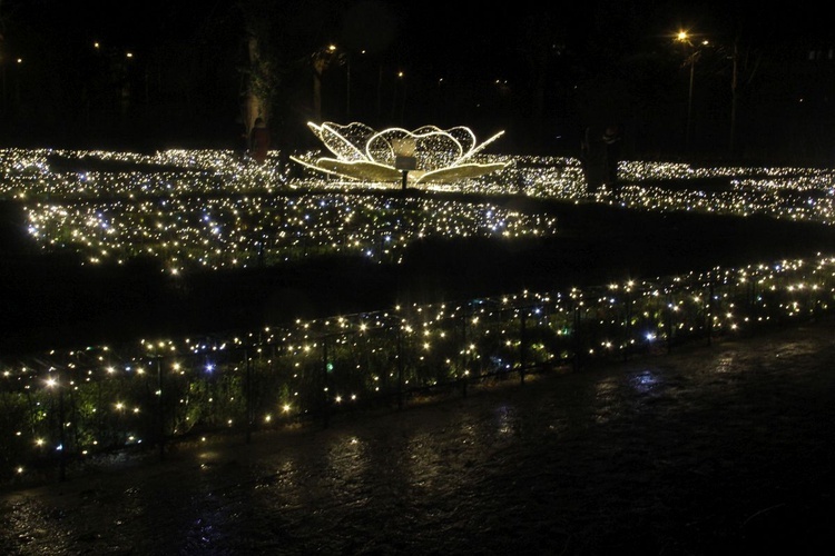 Iluminacje w parku oliwskim