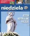 Niedziela 49/2017