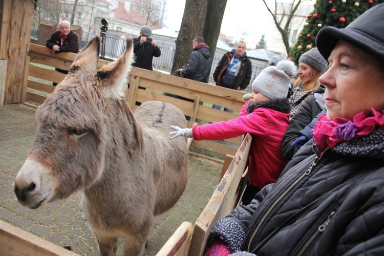 Szopka na Pradze