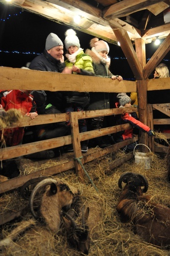 Pasterka u podnóża Gór Opawskich