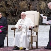 Franciszek apeluje o uprawianie teologii "w zachwycie"
