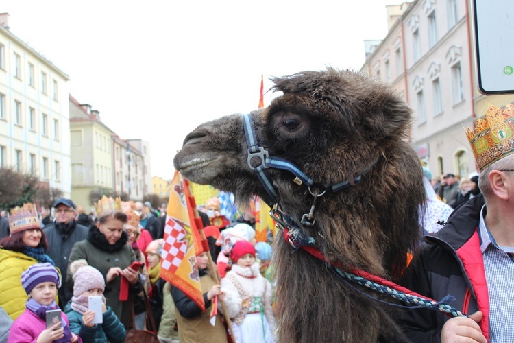 Orszak Trzech Króli w Oleśnicy