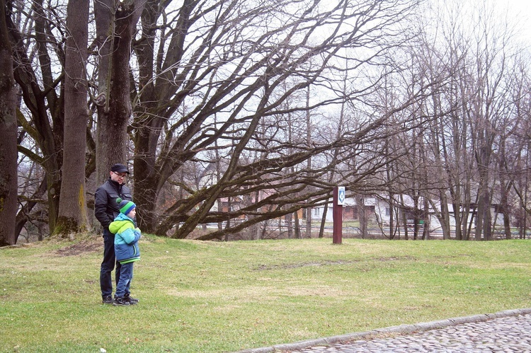 Dębno - Orszak Trzech Króli 2018