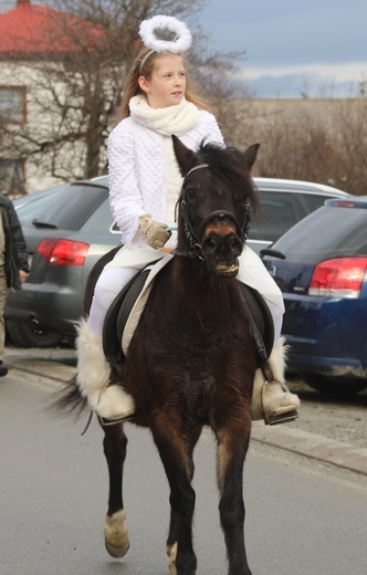 Orszak Trzech Króli w Ostrem-Twardorzeczce - 2018