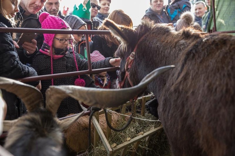 Nowy Sącz - Orszak Trzech Króli 2018