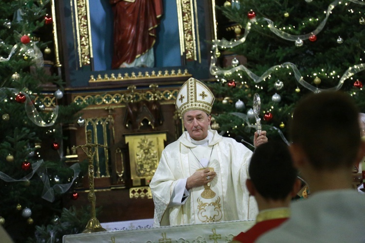 Poświęcenie organów w Lubczy