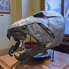 Dunkleosteus 