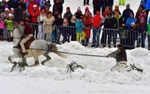 Góralskie wyścigi na śniegu