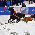 Góralskie wyścigi na śniegu