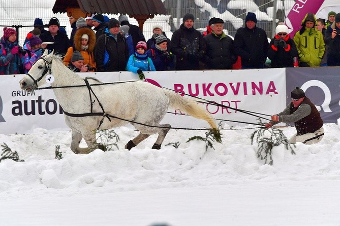 Góralskie wyścigi na śniegu