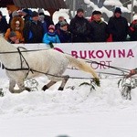 Góralskie wyścigi na śniegu