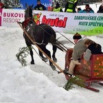 Góralskie wyścigi na śniegu