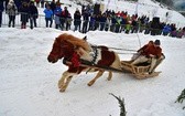 Góralskie wyścigi na śniegu