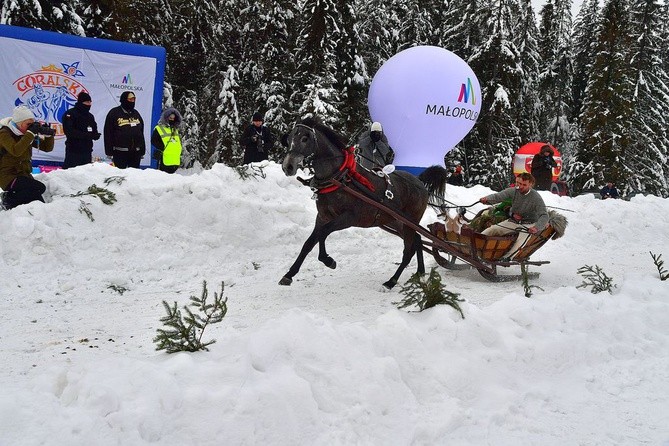 Góralskie wyścigi na śniegu