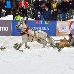 Góralskie wyścigi na śniegu