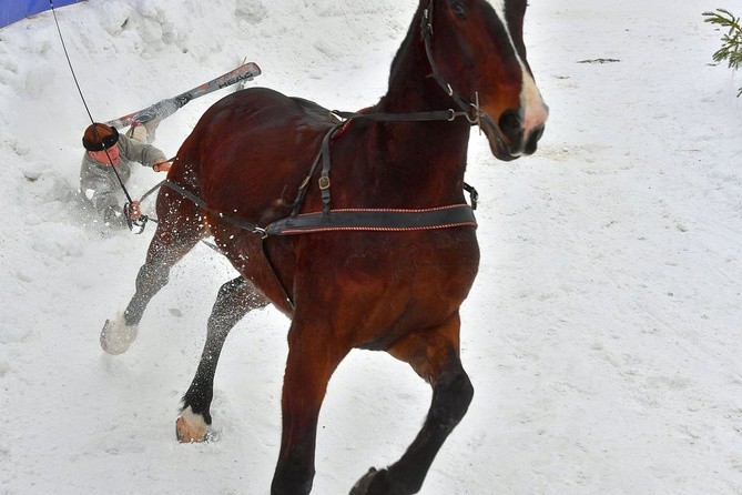 Góralskie wyścigi na śniegu