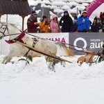 Góralskie wyścigi na śniegu