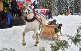 Góralskie wyścigi na śniegu