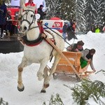 Góralskie wyścigi na śniegu