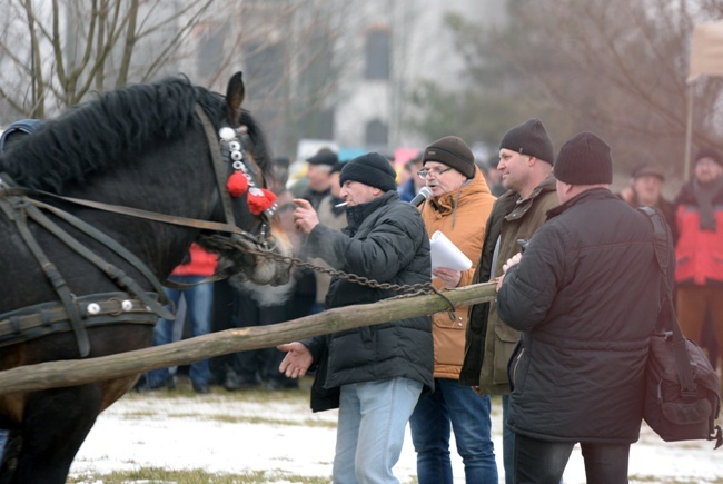 "Wstępy 2018" w Skaryszewie