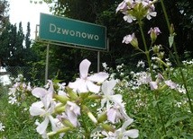 Dzwonowo