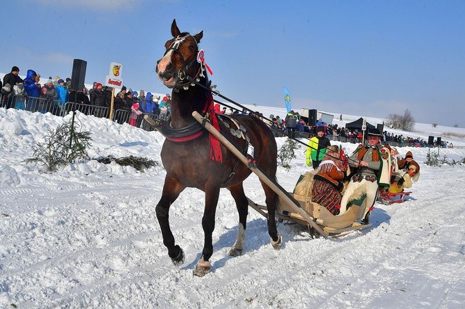 Parada Gazdowska i wyścigi kumoterek