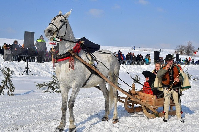 Parada Gazdowska i wyścigi kumoterek