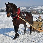 Parada Gazdowska i wyścigi kumoterek