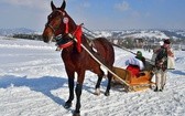 Parada Gazdowska i wyścigi kumoterek