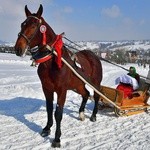 Parada Gazdowska i wyścigi kumoterek