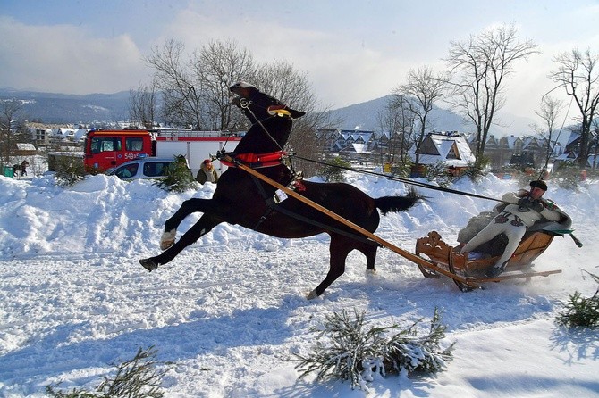 Parada Gazdowska i wyścigi kumoterek