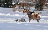 Parada Gazdowska i wyścigi kumoterek