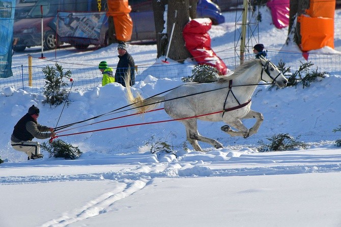 Parada Gazdowska i wyścigi kumoterek