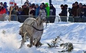 Parada Gazdowska i wyścigi kumoterek