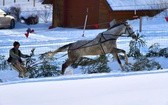 Parada Gazdowska i wyścigi kumoterek