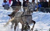 Parada Gazdowska i wyścigi kumoterek