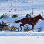 Parada Gazdowska i wyścigi kumoterek